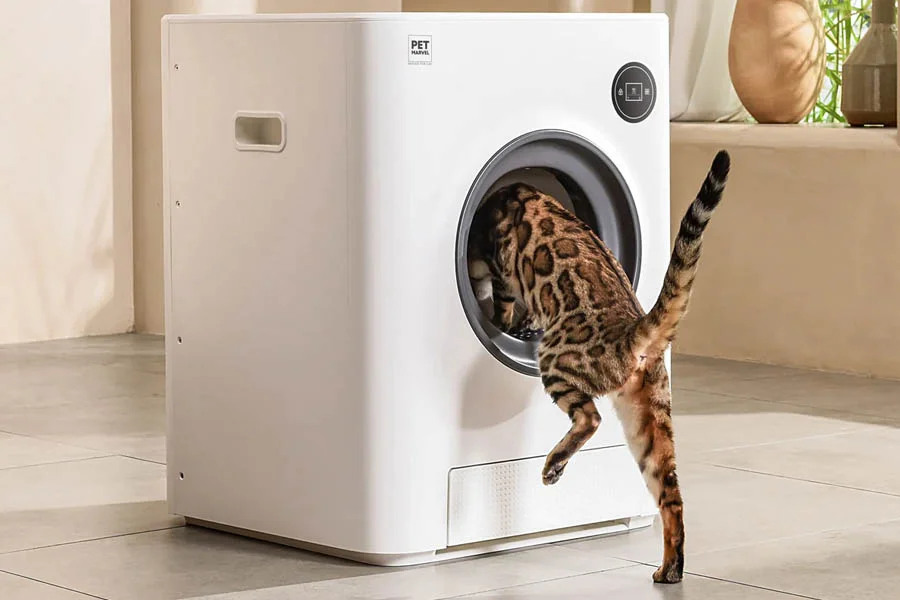 best litter box for multiple cats automatic